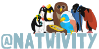 The Natwivity