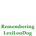 Remembering LexiLouDog