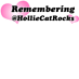 HollieCatRocks