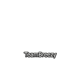 Chris Brown Team Breezy