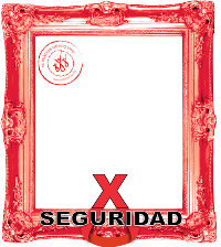 Fundación México Vivo