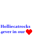 HollieCatRocks in our hearts