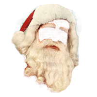 I am Santa Claus!