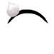 shiro_bunny
