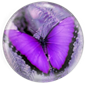 Living with Lupus
