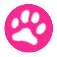 The Feel Good Paw