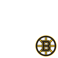 Boston Bruins