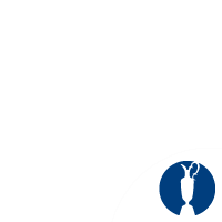 The Open 2011