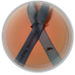 Prematurity Awareness