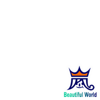 ARASHI  Beautiful World rogo