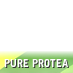 CSA Pure Protea (Twitter)