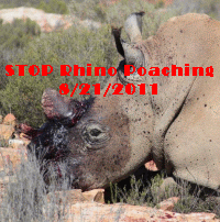 STOP RHINO POACHING