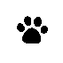 nekoasi