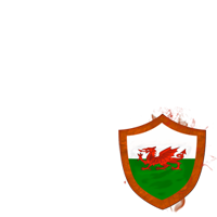 Wales in the RWC 2011