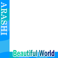 ARASHI BW frame