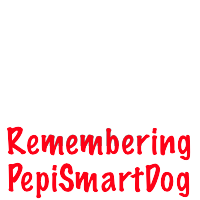 Remembering PepiSmartDog