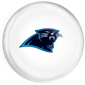Carolina Panthers