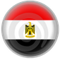 Support Egyptian Protesters