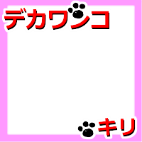 TEGOSHI YUYA dekawanko KIRI