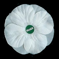 The White Poppy for Peace