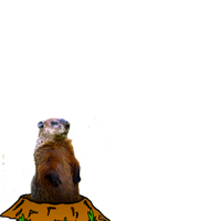 Happy Groundhog Day
