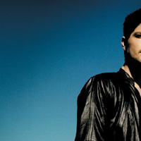 THE SCRIPT DOMINATION