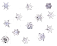 Let it Snow!