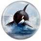 For the Oceans & Life