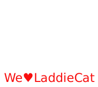 We love laddie