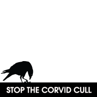Stop The Corvid Cull