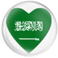 الوطن في قلوبنا