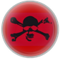 Bring Back St. Pauli
