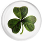 St Patrick's Day