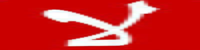 Vote No campaign in Egypt