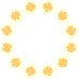 nanohana-2