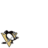 Pittsburgh Penguins #2