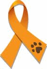 prevention of animal cruelty