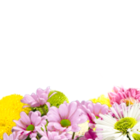 Ginza_Flower_Letters_No.6