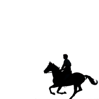 Nominee - Warhorse