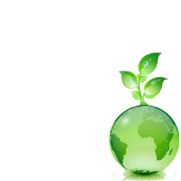 World Biodiversity Day