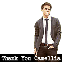 Thank You Camellia