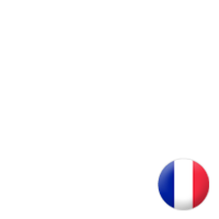 France - Euro 2012