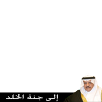 نايف بن عبدالعزيز