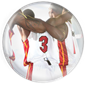 D3Wade