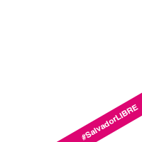 SalvadorLarios Libre