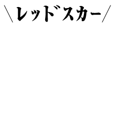 SRX_accessory4