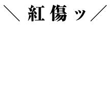 SRX_accessory3