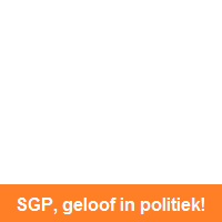Geloof in politiek