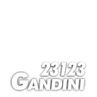 Fabricio Gandini 23123