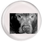 Lennox Never Forget